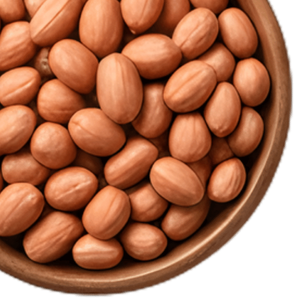 Decorative Export Graphic